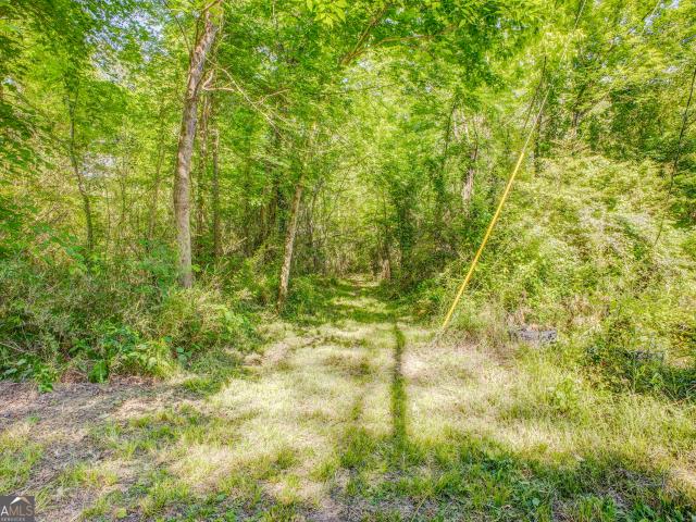Land for sale in Lindale, Georgia