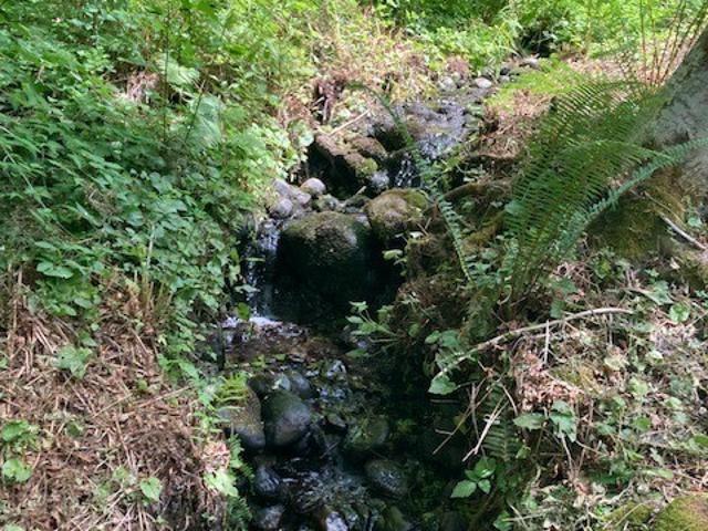Land for sale in Hoodsport, Washington