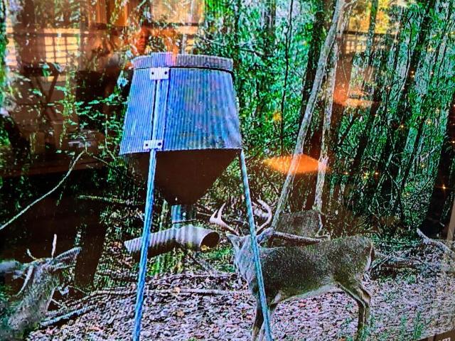 Land for sale in Seminary, Mississippi