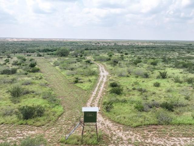 Farm for sale in Freer, Texas