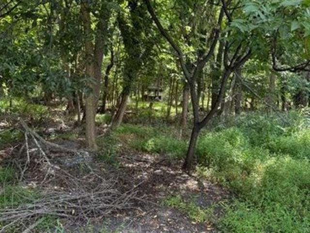 Land for sale in Boonsboro, Maryland