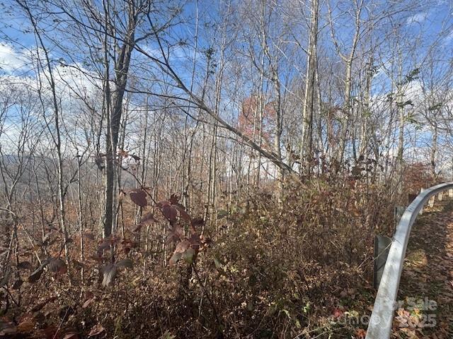 Land for sale in Mars Hill, North Carolina