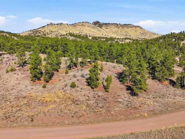 Land for sale in Guffey, Colorado