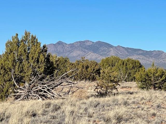 Land for sale in Sandia Park, New Mexico
