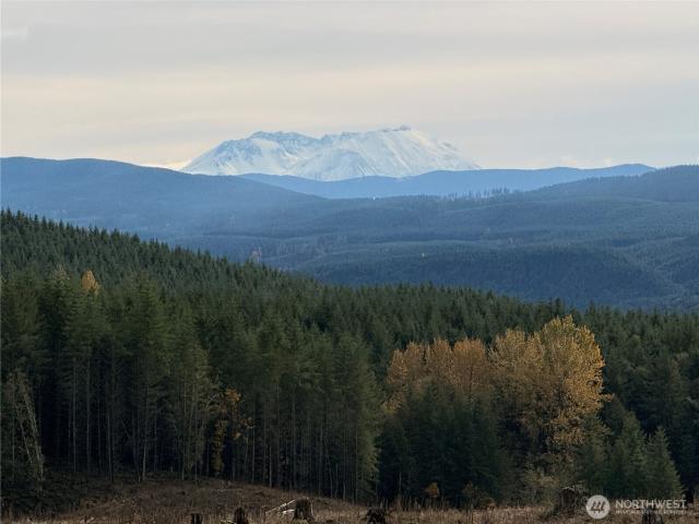 Property for sale in Mossyrock, Washington