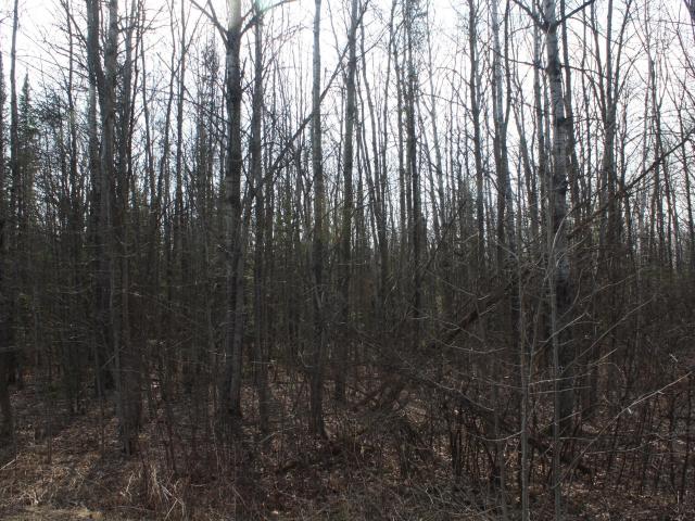 Land for sale in Poplar, Wisconsin