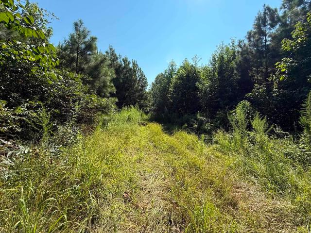 Land for sale in Florence, Lauderdale County