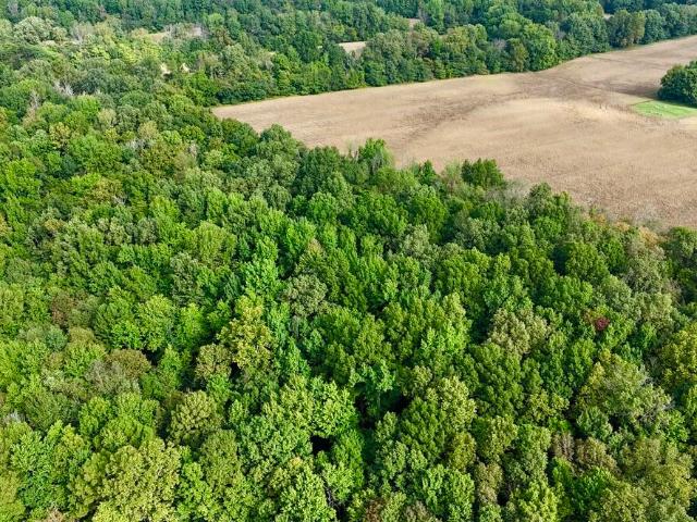 Land for sale in Kevil, Kentucky