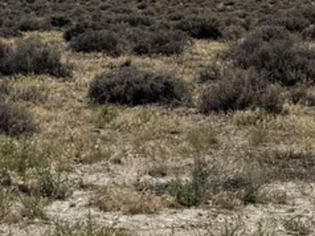 Land for sale in Silver Springs, Nevada
