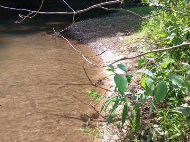 Land for sale in Springville, Alabama