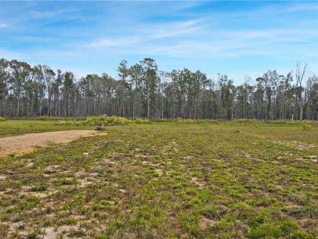 Land for sale in Independence, Louisiana