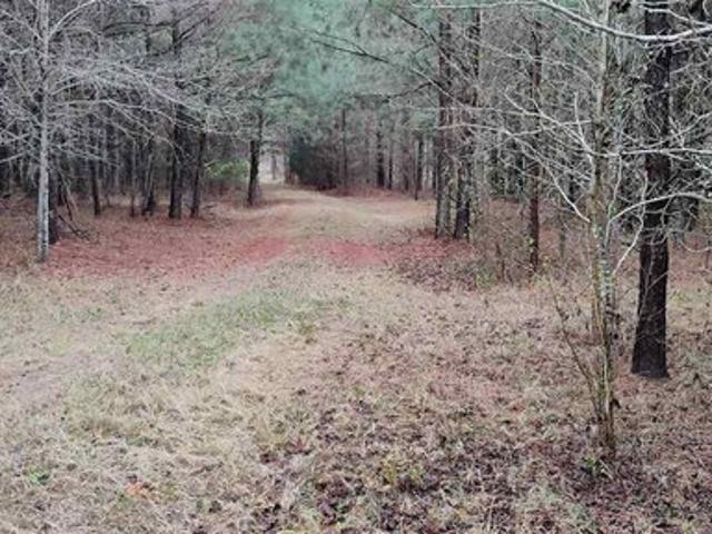 Land for sale in Coward, South Carolina
