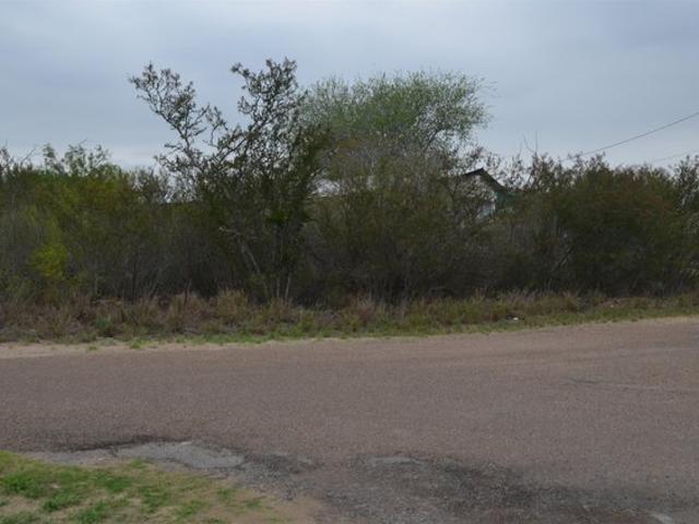 Land for sale in Zapata, Zapata County