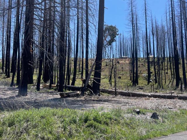 Property for sale in Grizzly Flats, California