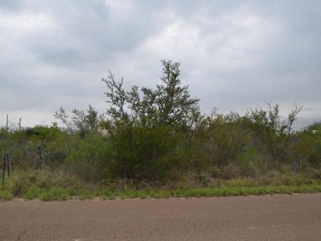 Land for sale in Zapata, Zapata County