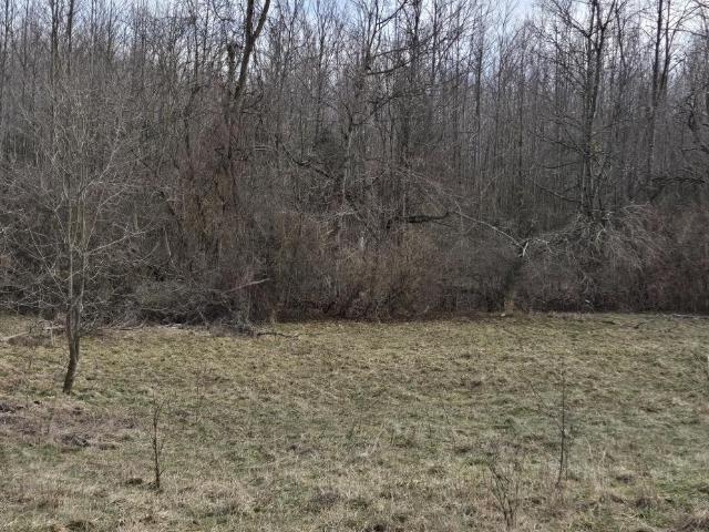 Land for sale in Blanchester, Ohio