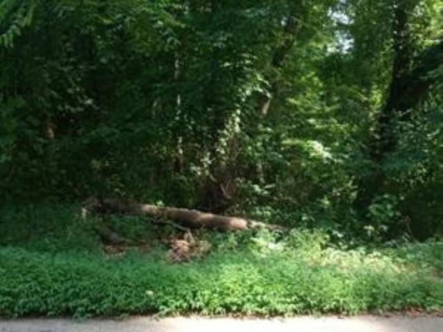 Land for sale in Campobello, South Carolina