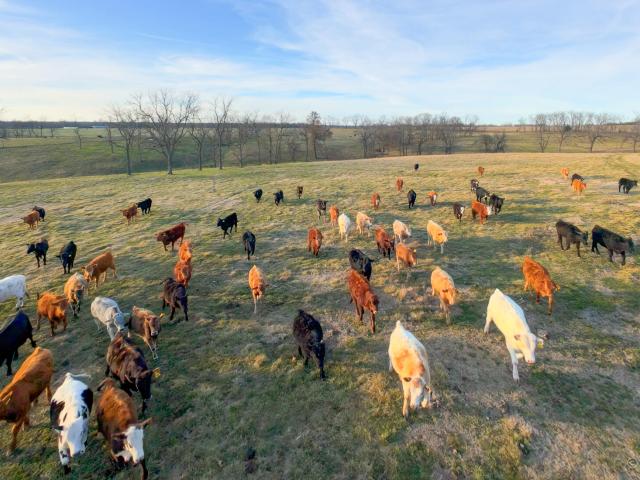 Land for sale in Stella, Missouri