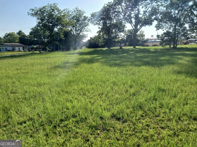 Land for sale in Alma, Georgia