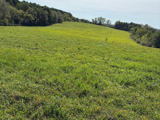 Land for sale in Saint Croix, Wisconsin
