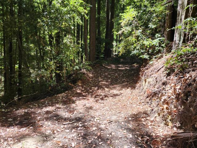 Land for sale in Boulder Creek