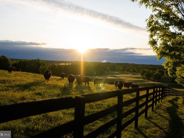 Land for sale in Virginia