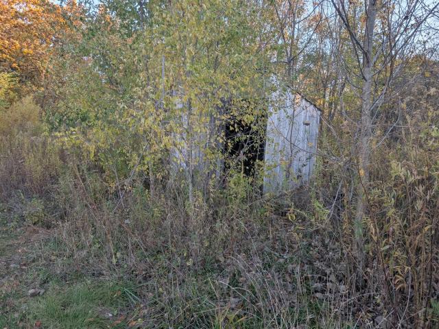 Land for sale in Farmer City, DeWitt County