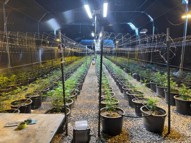 Farm for sale in Bosque Farms, New Mexico
