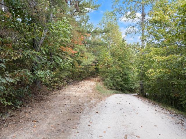 Land for sale in Beattyville, Kentucky