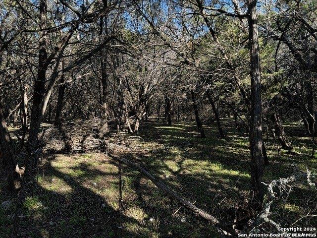 Land for sale in Bulverde, Texas