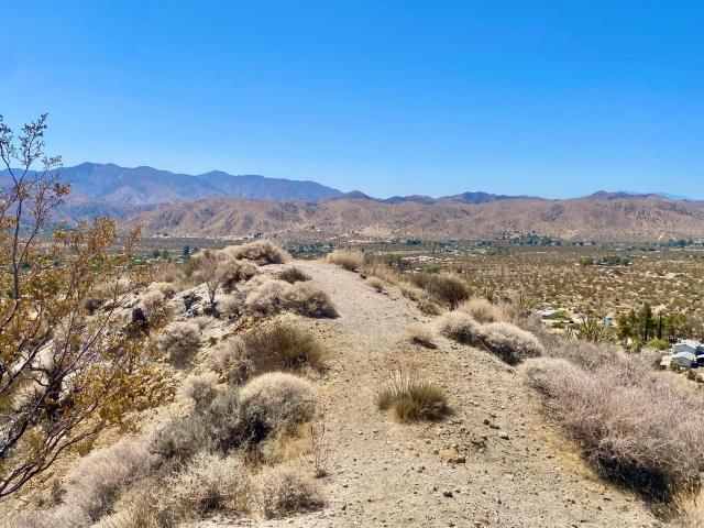 Land for sale in Morongo Valley, California