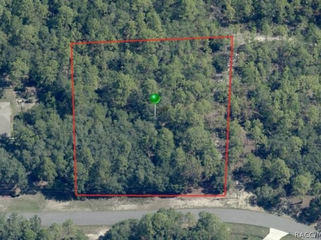 Land for sale in Beverly Hills, Florida