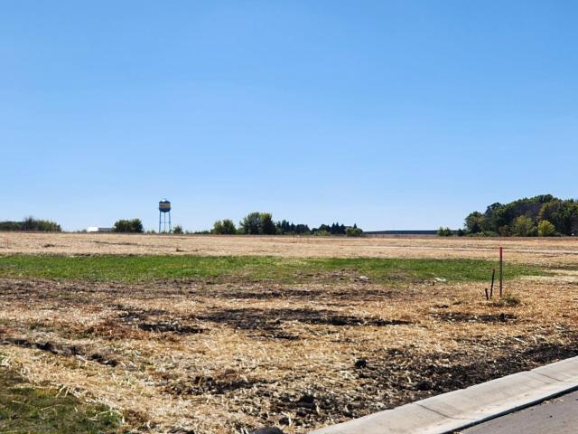 Land for sale in Hayfield, Minnesota