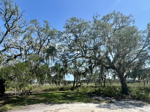 Land for sale in Yemassee, Jasper County