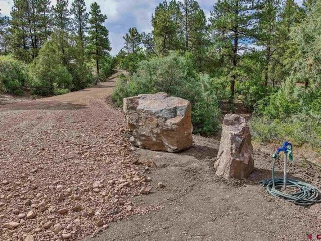 Land for sale in Pagosa Springs, Archuleta County