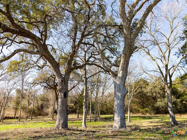 Land for sale in Shiner, Texas
