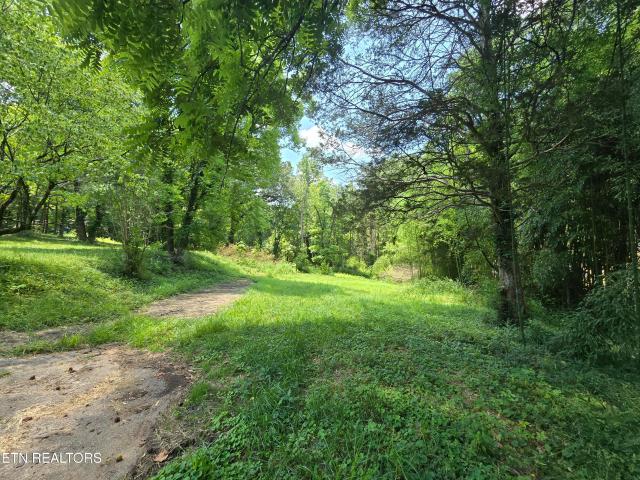 Land for sale in Tennessee