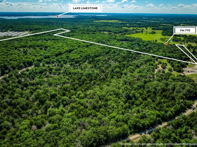 Land for sale in Limestone, Texas