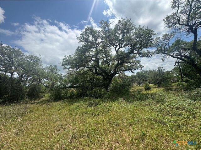 Land for sale in Victoria, Texas