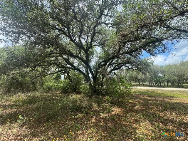 Land for sale in Victoria, Texas