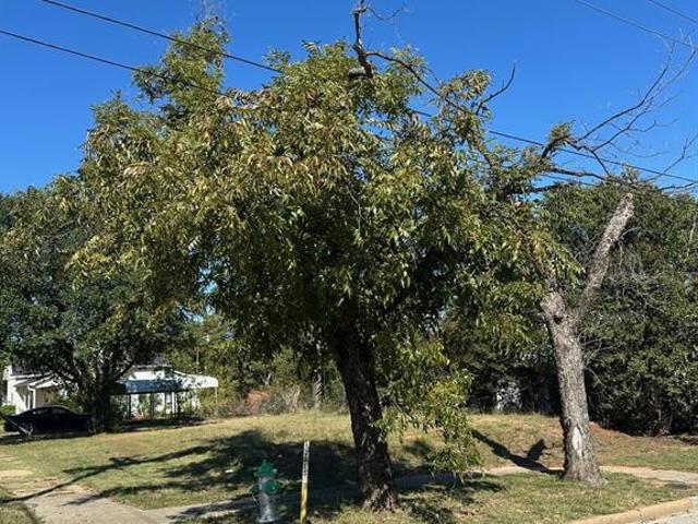 Land for sale in Mineral Wells, Texas
