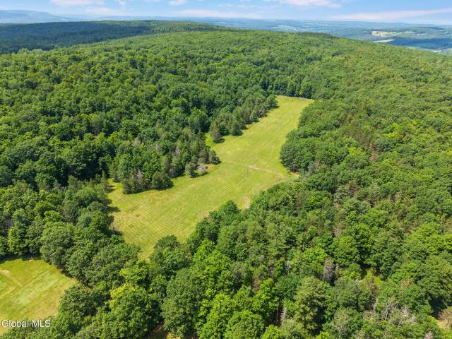 Land for sale in Berne, New York