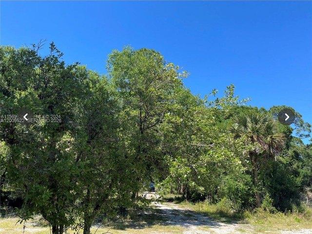 Land for sale in Clewiston, Hendry County