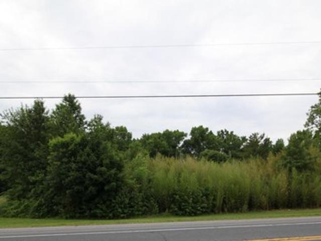 Land for sale in Delaware