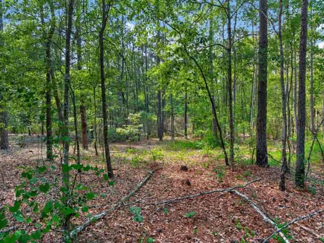 Land for sale in Cypress Fork Crossroads, Manning