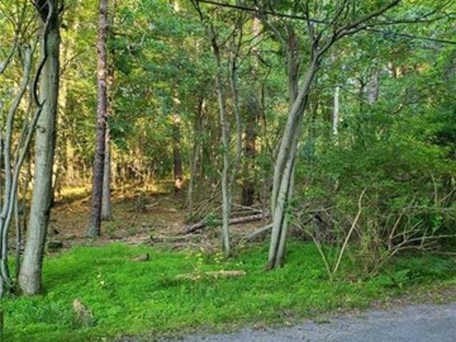 Land for sale in Cresco, Pennsylvania