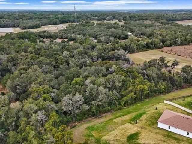 Land for sale in Mount Dora, Florida