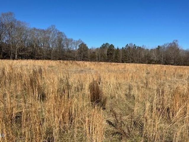 Land for sale in Rougemont, North Carolina