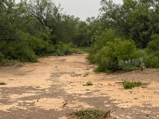 Land for sale in Carrizo Springs, Texas