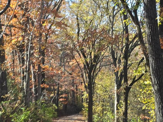 House for sale in Stone, Missouri